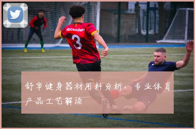 舒华健身器材用料分析，专业体育产品工艺解读