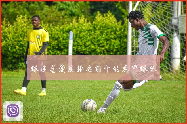 球迷喜爱度排名前十的意甲球队