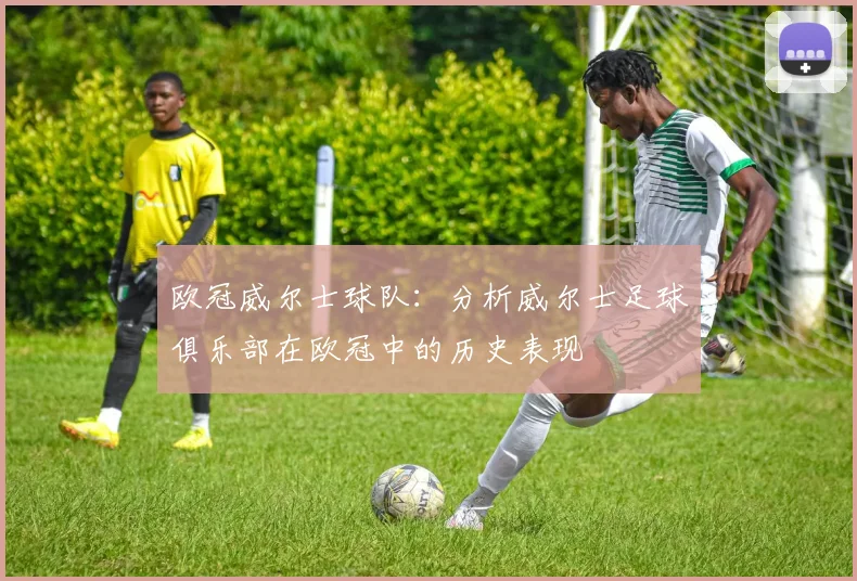 欧冠威尔士球队：分析威尔士足球俱乐部在欧冠中的历史表现