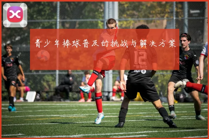 青少年棒球普及的挑战与解决方案